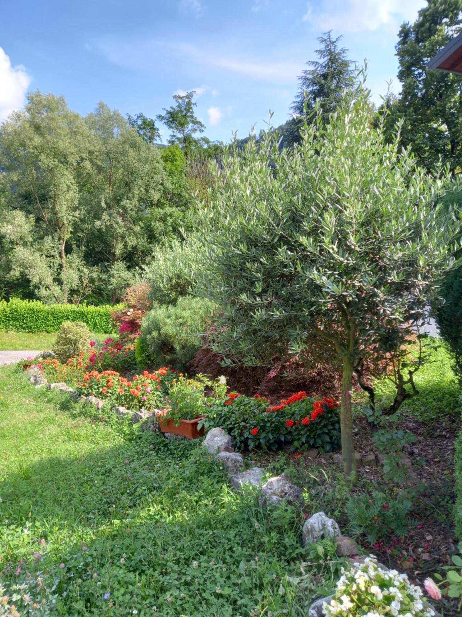 Casa Vacanze Tania Somendenna Екстер'єр фото